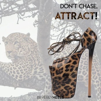 Dont chase.
ATTRACT! 🐆🐆🐆