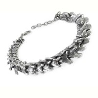 A29 - Vertebrae