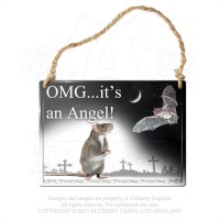ALHS8 - OMG.Its an Angel! Sign