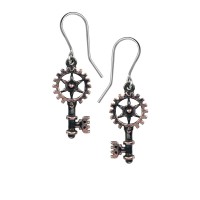 E377 - Clavitraction Earrings