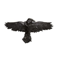 HH10 - Black Raven Hair Slide