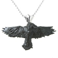 P193 - Black Raven
