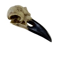 V16 - Corvus Alchemia