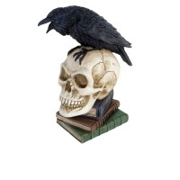 V17 - Poes Raven