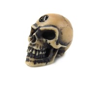V2 - Lapillus Worry Skull