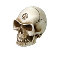 V40 - Bone Colored Skull Gear Knob