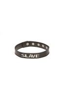 2029 X Play slave Collar