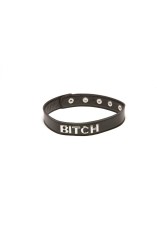 2028 X Play bitch Collar