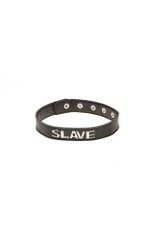 2029 X Play slave Collar