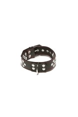 2078 X Play Collar With D Ring