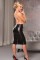 13-1065 Skirt