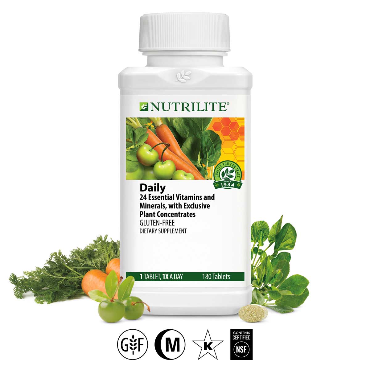 download slay the day nutrilite download slay the day nutrilite