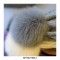 Knitted Fur Pompon Earlap Wool Winter Hat - Purple