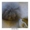 Knitted Fur Pompon Earlap Wool Winter Hat - Purple