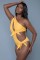 2388 Elizabeth Swimsuit