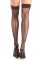 BW787 Zip Me Up Thigh Highs Stockings SPECIAL - One Size