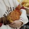 Pretty Soft Stuffed Funny Cock Chick Plush Toys