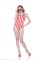 1-Piece Tank Bettie Americana Swim Suit
