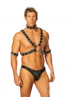 L9663 - 4 Piece Adjustable Harness