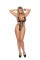 1310Q - Lace Teddy Embellished With Bows And A String Back