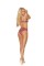 Lace Bra,  Panty  And  Garter Belt   Rose Wine