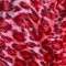 sites/beverlyheels/products/Karo/thumbnails_60_60/Fabric-Leopard-Red.jpg
