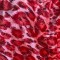 Karo Shoes 418 Leopard Stretch Fabric - in 4 Colors