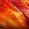 Karo Shoes 418 Rainbow Stretch Fabric - in 3 Variations