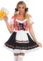 86746 Beer Garden Babe, Features Gingham Peasant Dress With Lace Up Bodice, Cold