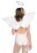 2 Piece Angel Accessory Kit Includes Wings And Halo
