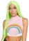 Rainbow High Neck Mesh Crop Top With Zipper Back