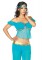 3 Piece Arabian Beauty,off The Shoulder Top,harem Pants,headband