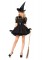 3 Piece Bewitching Witch Dress With Organza Belt Hat