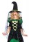 85240 2 Piece Storybook Witch Dress With Tiered Glitter Tulle Hat With Veil