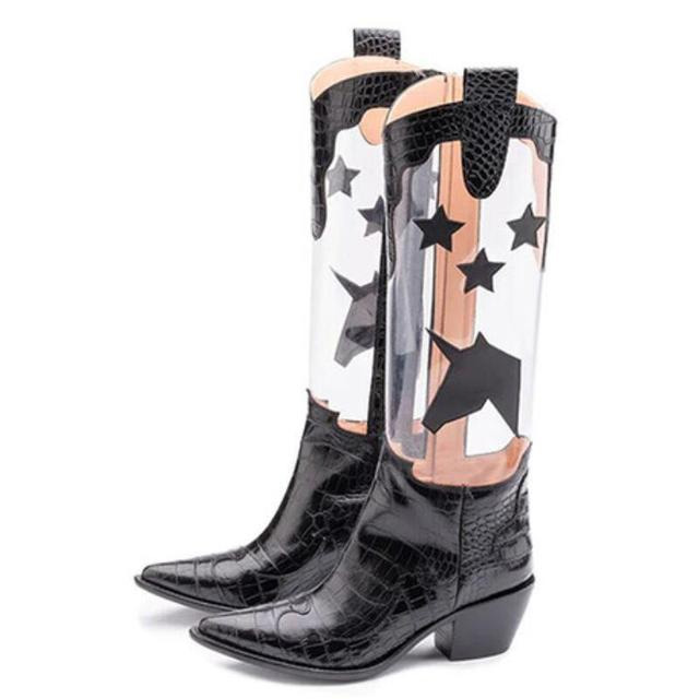 Pointed Toe Transparent Chunky Heels Knee High Cowboy Boots - Black