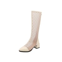 Chunky Heels Back Zipper Knee High Transparent Dots Mesh Boots - Beige