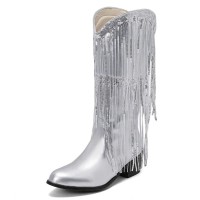 Pointed Toe Chunky Low Heels Knee Highs Tassel Western Cowboy Festival Boots - Silver
