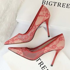 Pointed Toe Stiletto Heels Elegant Transparent Summer Spring Pumps - Red Lace