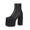 Round Toe Chunky Heels Platforms Ankle Highs Side Zipper Gothic Punk Matte Boots - Black