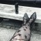 Pointed Toe Rivets Gothic Punk Studded Ballet Slip On Flat - Black