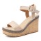 Peep Toe Platforms Line Ankle Buckle Straps Wedges Sandals - Black