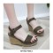 Peep Toe Platforms Line Ankle Buckle Straps Wedges Sandals - Black