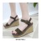 Peep Toe Platforms Line Ankle Buckle Straps Wedges Sandals - Black