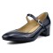 Pointed Toe Block Heels Buckle Straps Mary Janes Shoes - Dark Blue