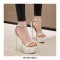 Peep Toe Stiletto Heels Platforms Ankle Straps Sandals - Silver