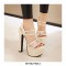 Chunky Block Heels Peep Toe Ankle Straps Transparent Pumps - Beige