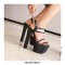 Chunky Block Heels Peep Toe Ankle Straps Transparent Pumps - Black