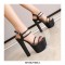 Chunky Block Heels Peep Toe Ankle Straps Transparent Pumps - Black