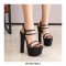 Chunky Block Heels Peep Toe Ankle Straps Transparent Pumps - Black
