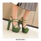 Chunky Block Heels Peep Toe Ankle Straps Transparent Pumps - Green